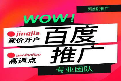 SEM搜索引擎优化：成功案例解析
